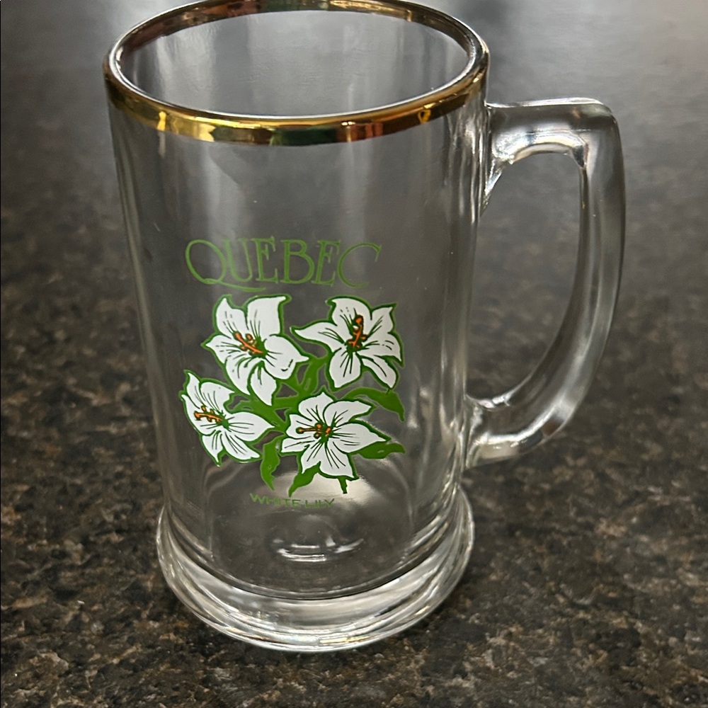 Quebec Beer Stein Mug